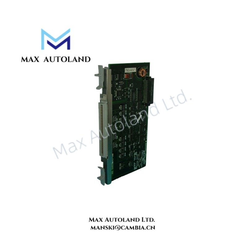 AMM31
