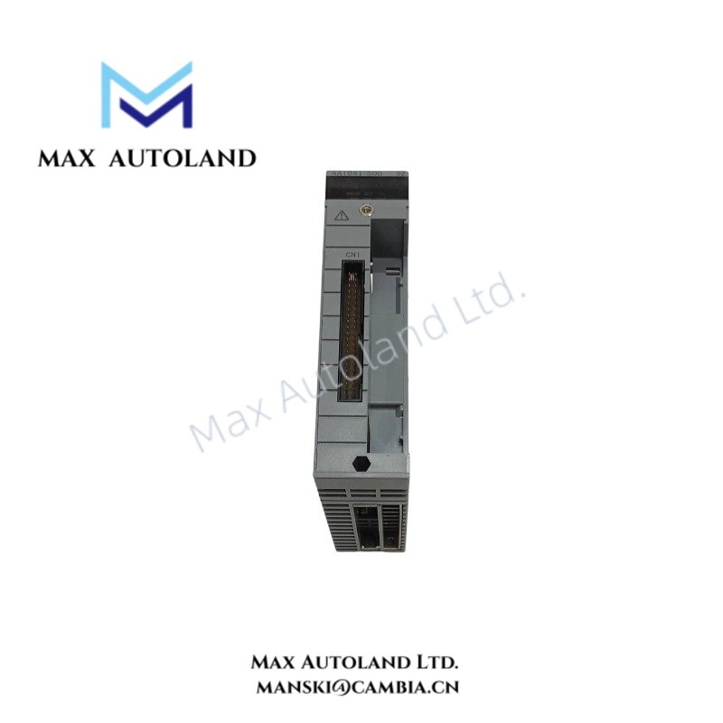 AAI841-S00 S2_Cocoai
