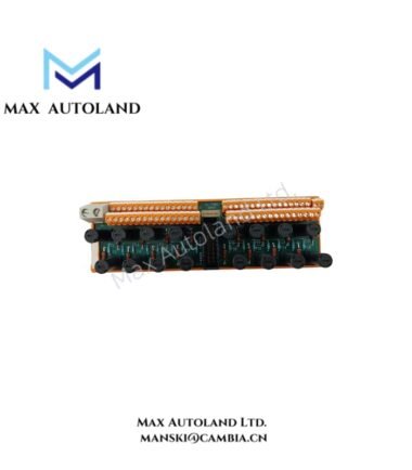 Honeywell FS-TSGAS-1624 Safe Gas and Flame Detector Input Field Termination Assembly